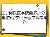 辽宁何氏医学院要多少分才能进(辽宁何氏医学院录取分)