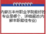 内蒙古丰州职业学院最好的专业是哪个，详细阐述(内蒙丰职最佳专业)