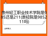 贵州轻工职业技术学院是985还是211(贵轻院是985211吗)
