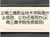 云南三鑫职业技术学院是什么级别，公办还是民办(云南三鑫学院性质级别)
