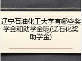 辽宁石油化工大学有哪些奖学金和助学金呢(辽石化奖助学金)