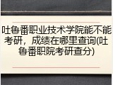 吐鲁番职业技术学院能不能考研，成绩在哪里查询(吐鲁番职院考研查分)