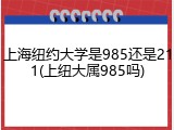 上海纽约大学是985还是211(上纽大属985吗)