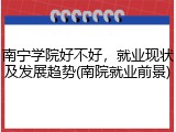 南宁学院好不好，就业现状及发展趋势(南院就业前景)