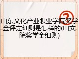 山东文化产业职业学院奖学金评定细则是怎样的(山文院奖学金细则)
