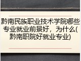 黔南民族职业技术学院哪些专业就业前景好，为什么(黔南职院好就业专业)