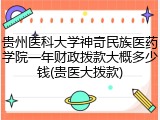 贵州医科大学神奇民族医药学院一年财政拨款大概多少钱(贵医大拨款)