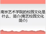 南京艺术学院的校园文化是什么，简介(南艺校园文化简介)