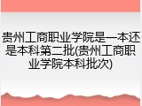 贵州工商职业学院是一本还是本科第二批(贵州工商职业学院本科批次)