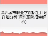 深圳城市职业学院招生计划详细分析(深圳职院招生解析)