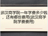 武汉商学院一年学费多少钱，还有哪些费用(武汉商学院学费费用)