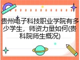 贵州电子科技职业学院有多少学生，师资力量如何(贵科院师生概况)