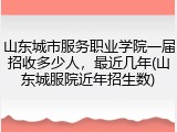 山东城市服务职业学院一届招收多少人，最近几年(山东城服院近年招生数)