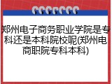 郑州电子商务职业学院是专科还是本科院校呢(郑州电商职院专科本科)