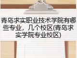 青岛求实职业技术学院有哪些专业，几个校区(青岛求实学院专业校区)