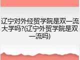 辽宁对外经贸学院是双一流大学吗?(辽宁外贸学院是双一流吗)