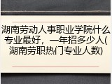 湖南劳动人事职业学院什么专业最好，一年招多少人(湖南劳职热门专业人数)
