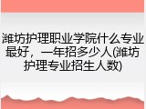 潍坊护理职业学院什么专业最好，一年招多少人(潍坊护理专业招生人数)