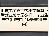 山东电子职业技术学院毕业后就业前景怎么样，毕业生去向(山东电子职院就业去向)