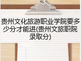 贵州文化旅游职业学院要多少分才能进(贵州文旅职院录取分)