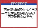 广西智能制造职业技术学院一年奖学金最多能拿多少(广西职院最高奖学金)
