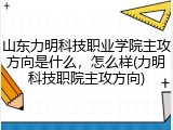 山东力明科技职业学院主攻方向是什么，怎么样(力明科技职院主攻方向)