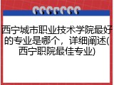 西宁城市职业技术学院最好的专业是哪个，详细阐述(西宁职院最佳专业)