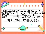 湖北大学知行学院什么专业最好，一年招多少人(湖大知行热门专业人数)