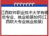 江西软件职业技术大学有哪些专业，就业前景如何(江西软大专业就业前景)