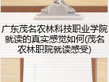 广东茂名农林科技职业学院就读的真实感觉如何(茂名农林职院就读感受)