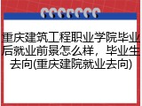 重庆建筑工程职业学院毕业后就业前景怎么样，毕业生去向(重庆建院就业去向)