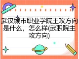 武汉城市职业学院主攻方向是什么，怎么样(武职院主攻方向)