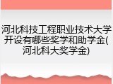 河北科技工程职业技术大学开设有哪些奖学和助学金(河北科大奖学金)