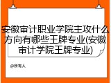 安徽审计职业学院主攻什么方向有哪些王牌专业(安徽审计学院王牌专业)