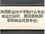 陕西职业技术学院什么专业就业比较好，原因是啥(陕职院就业优势专业)