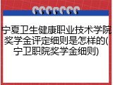 宁夏卫生健康职业技术学院奖学金评定细则是怎样的(宁卫职院奖学金细则)