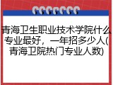 青海卫生职业技术学院什么专业最好，一年招多少人(青海卫院热门专业人数)