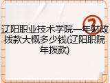 辽阳职业技术学院一年财政拨款大概多少钱(辽阳职院年拨款)