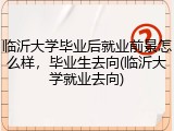 临沂大学毕业后就业前景怎么样，毕业生去向(临沂大学就业去向)