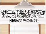 湖北工业职业技术学院高考需多少分能录取呢(湖北工业职院高考录取分)