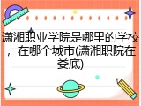 潇湘职业学院是哪里的学校，在哪个城市(潇湘职院在娄底)