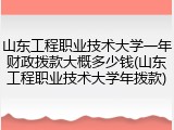 山东工程职业技术大学一年财政拨款大概多少钱(山东工程职业技术大学年拨款)