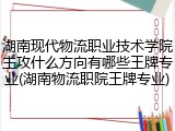 湖南现代物流职业技术学院主攻什么方向有哪些王牌专业(湖南物流职院王牌专业)