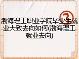 渤海理工职业学院毕业生就业大致去向如何(渤海理工就业去向)