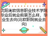 沈阳北软信息职业技术学院毕业后就业前景怎么样，毕业生去向(北软职院就业去向)