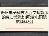 贵州电子科技职业学院就读的真实感觉如何(贵电职院就读体验)