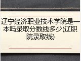 辽宁经济职业技术学院是一本吗录取分数线多少(辽职院录取线)