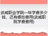 武威职业学院一年学费多少钱，还有哪些费用(武威职院学费费用)