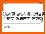 浦东新区技校有哪些适合男生的学校(浦东男校技校)