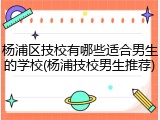 杨浦区技校有哪些适合男生的学校(杨浦技校男生推荐)